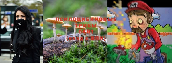 ALPHA-PVP Каменка