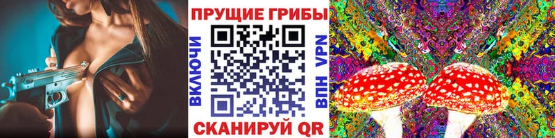 Купить где  Калачинск  Галлюциногенные грибы Cubensis 